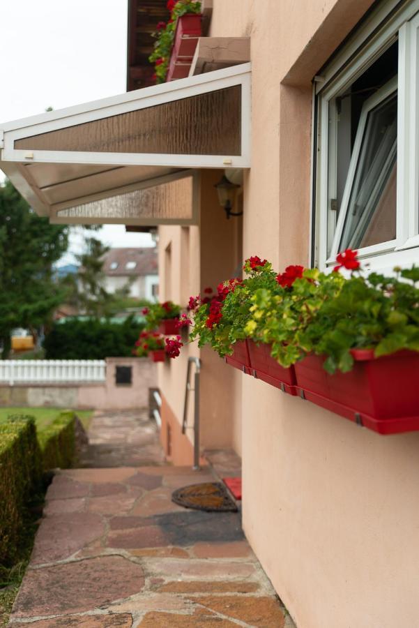 Gite Au Coeur De L'Alsace Maison Gatsby Staffelfelden Экстерьер фото