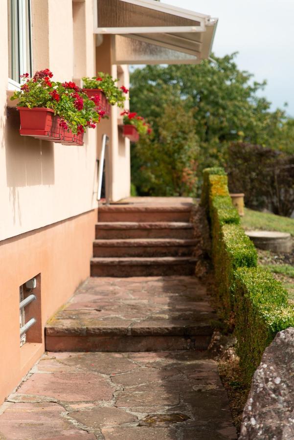 Gite Au Coeur De L'Alsace Maison Gatsby Staffelfelden Экстерьер фото